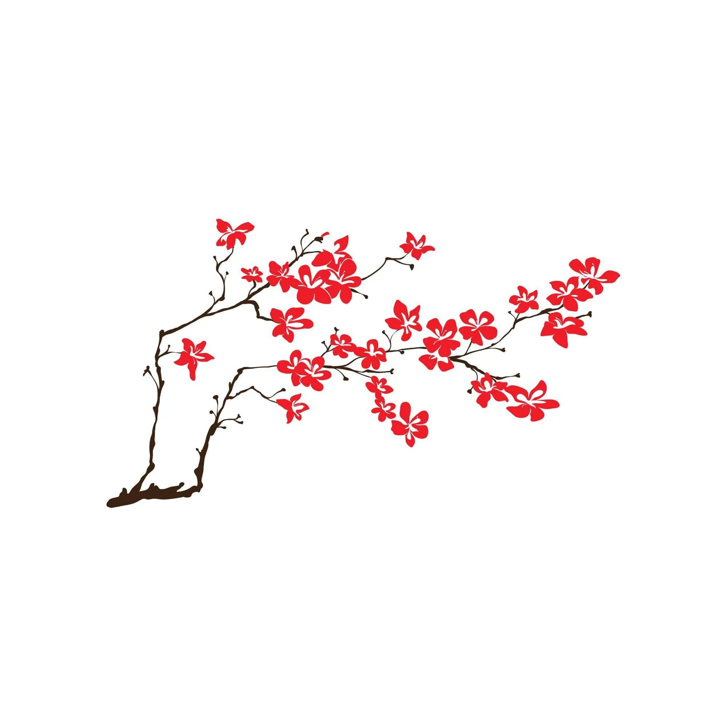 collection-banner-image