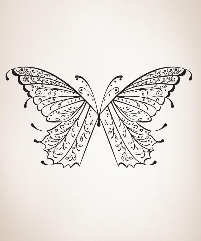 collection-banner-image