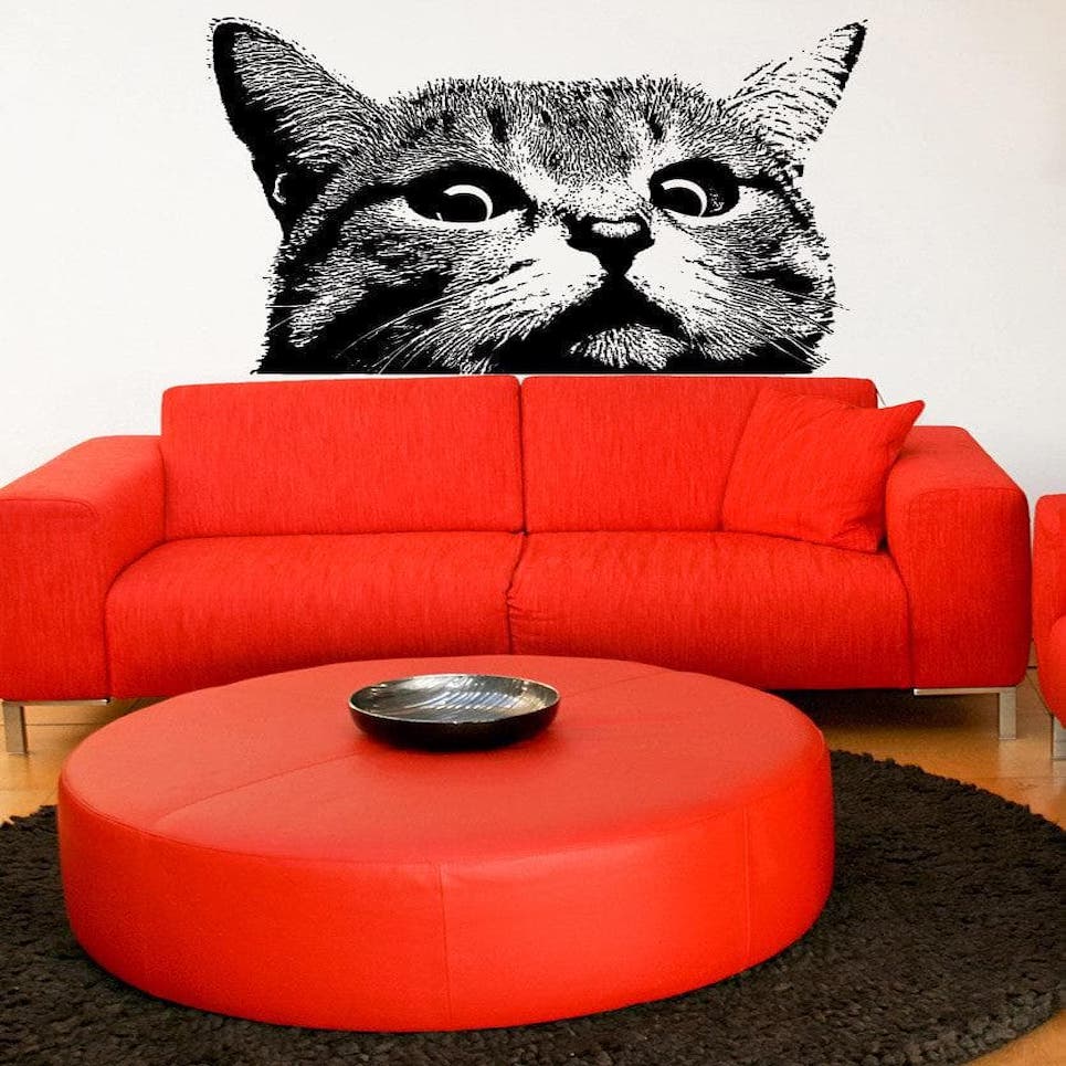 collection-banner-image