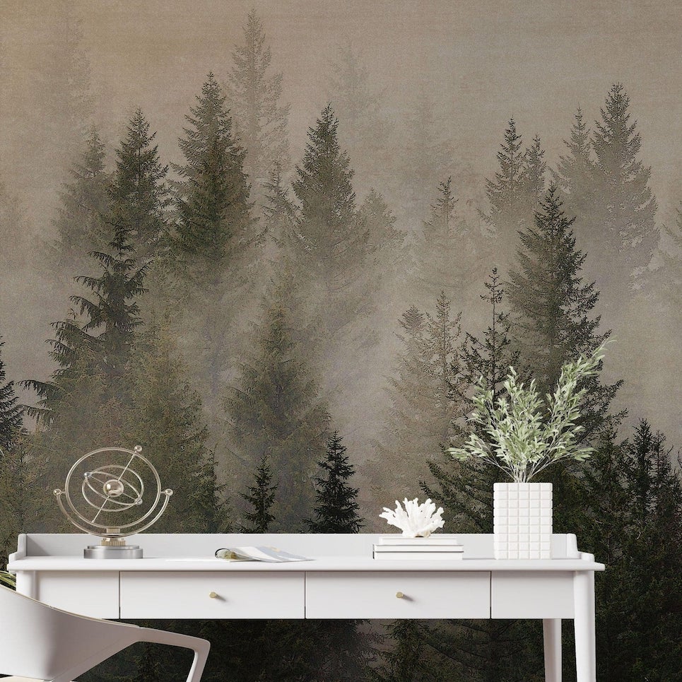collection-banner-image
